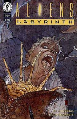 Aliens: Labyrinth [Dark Horse] (1993) 3