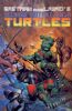 Teenage Mutant Ninja Turtles Volume 1 (1984) 33
