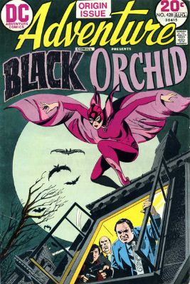 Adventure Comics [DC] (1938) 428
