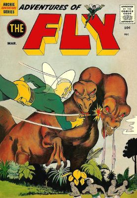 The Adventures Of The Fly [Archie] (1960) 11