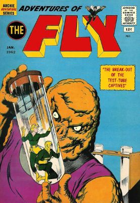 The Adventures Of The Fly [Archie] (1960) 17