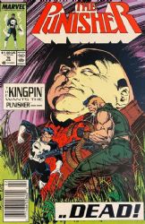 Punisher (2nd Series) (1987) 16 (Newsstand)