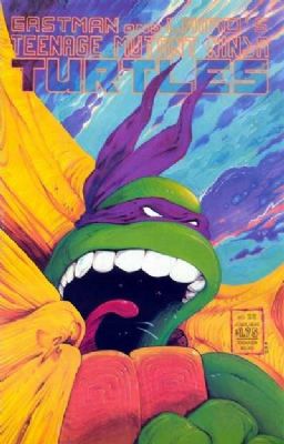 Teenage Mutant Ninja Turtles (1984) 22
