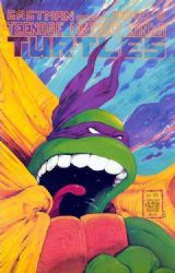Teenage Mutant Ninja Turtles (1984) 22