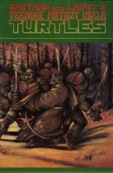 Teenage Mutant Ninja Turtles (1984) 31