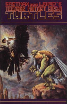 Teenage Mutant Ninja Turtles (1984) 36