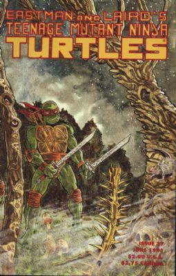 Teenage Mutant Ninja Turtles (1984) 37