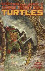 Teenage Mutant Ninja Turtles (1984) 37