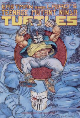 Teenage Mutant Ninja Turtles (1984) 48