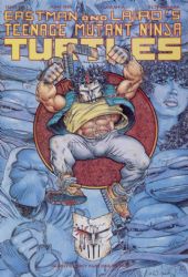 Teenage Mutant Ninja Turtles (1984) 48