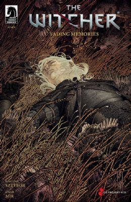 Witcher: Fading Memories (2020) 2