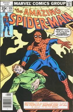 The Amazing Spider-Man [Marvel] (1963) 176 (Newsstand Edition)