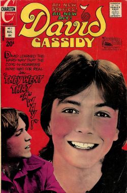 David Cassidy (1972) 5 