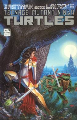 Teenage Mutant Ninja Turtles Volume 1 (1984) 13
