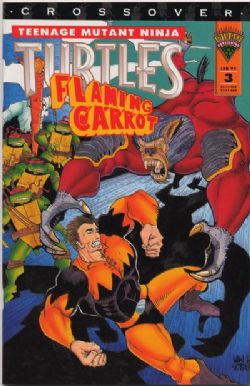 Teenage Mutant Ninja Turtles / Flaming Carrot (1993) 3