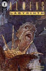 Aliens: Labyrinth [Dark Horse] (1993) 3