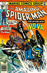 The Amazing Spider-Man [Marvel] (1963) 171 (Newsstand Edition)