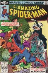 The Amazing Spider-Man [Marvel] (1963) 204 (Direct Editon)