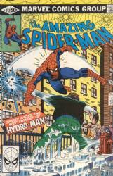 The Amazing Spider-Man [Marvel] (1963) 212 (Direct Edition)