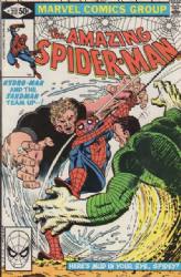 The Amazing Spider-Man [Marvel] (1963) 217 (Direct Edition)