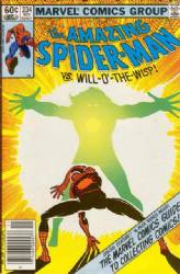 The Amazing Spider-Man [Marvel] (1963) 234 (Newsstand Edition)
