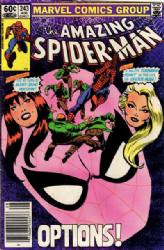The Amazing Spider-Man [Marvel] (1963) 243 (Newsstand Edition)