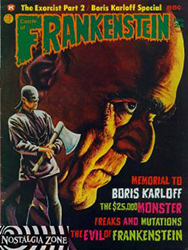 Castle Of Frankenstein [Gothic Castle / Dennis Druktenis] (1962) 24