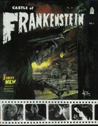 Castle Of Frankenstein [Gothic Castle / Dennis Druktenis] (1962) 26