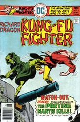 Richard Dragon: Kung Fu Fighter (1975) 9