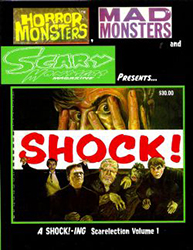 A Shock!-ing Scarelection (2008) 1 