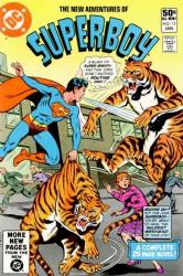 The New Adventures Of Superboy (1980) 13