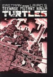 Teenage Mutant Ninja Turtles Volume 1 (1984) 1 (3rd Print)