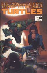 Teenage Mutant Ninja Turtles Volume 1 (1984) 2 (3rd Print)