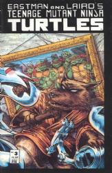 Teenage Mutant Ninja Turtles Volume 1 (1984) 3 (2nd Print)