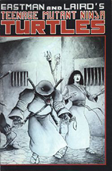 Teenage Mutant Ninja Turtles Volume 1 (1984) 17