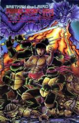 Teenage Mutant Ninja Turtles Volume 1 (1984) 18 (1st Print)